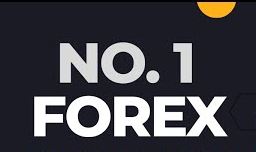 No1 Forex Trading - ForexCitizen.COM